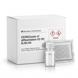 Human CD39 ELISA Kit BC0967 96 Test