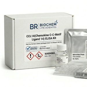 Human CCL14 ELISA Kit 96 Test BC2995