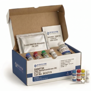 DNMT3B ELISA Kit - Human and Mouse Detection