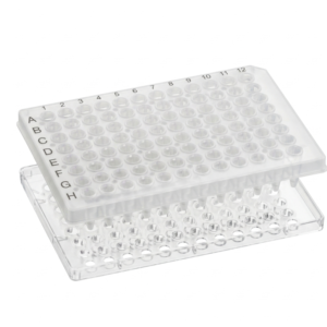 PCR Plate 96-Well Half Skirted 0.2ml Clear PP 10/Pack