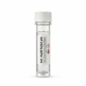 Anti-Hsp90 Rabbit Polyclonal Antibody 100ul BC11284-1
