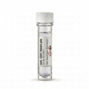 Anti-CD31 Rabbit Polyclonal Antibody 100ul BC11063-1