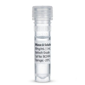 RNase A Solution 10 mg/mL (1 mL) - High Purity Enzyme