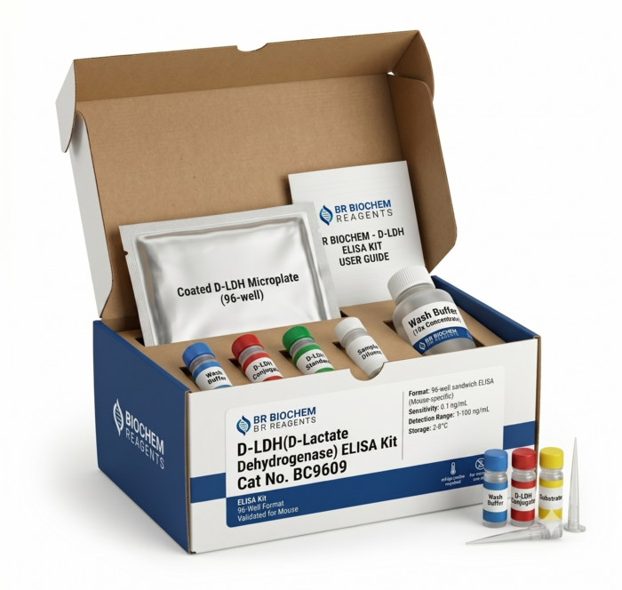 Mouse D-LDH ELISA Kit 96 Test BC9609