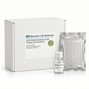 BC4401 CDC25 ELISA Kit 96 Tests for Human and Mouse