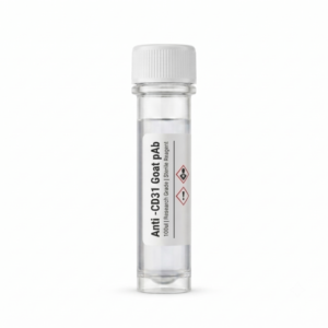 Anti-CD31 Goat Polyclonal Antibody 100ul BC13063