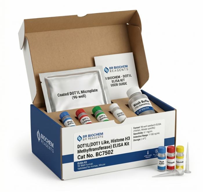 DOT1L ELISA Kit (BC7502) Human and Mouse Detection