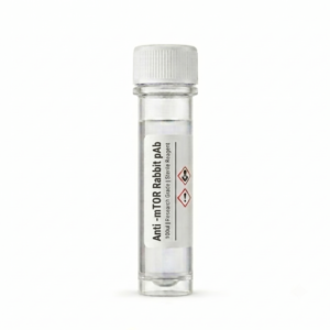 Anti-mTOR Rabbit Polyclonal Antibody 100ul BC111839