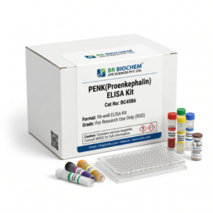BC4086 PENK Proenkephalin ELISA Kit 96 Tests
