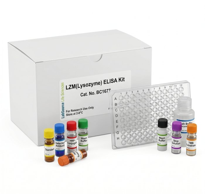 BC1677 LZM Lysozyme ELISA Kit 96 Test