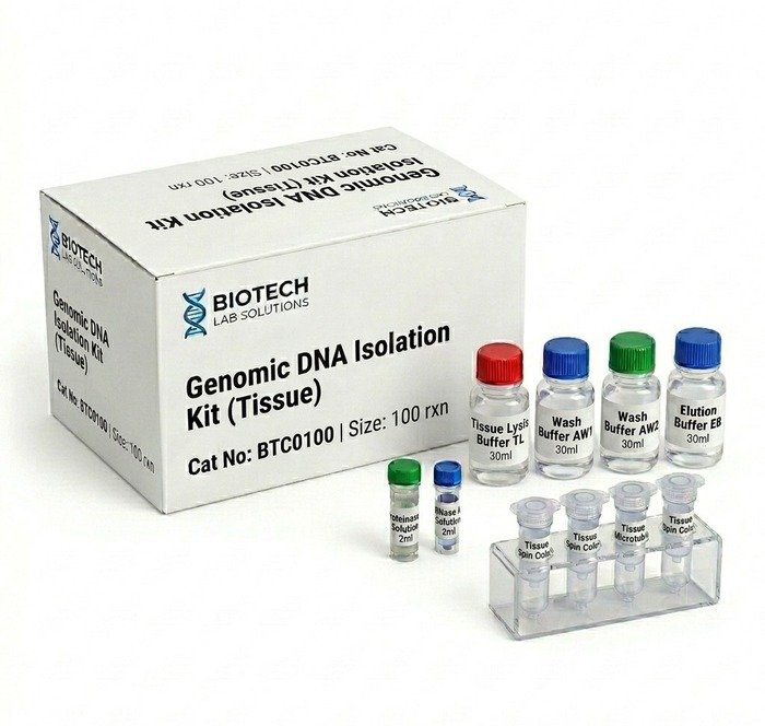 Genomic DNA Isolation Kit for Tissue BTC0100