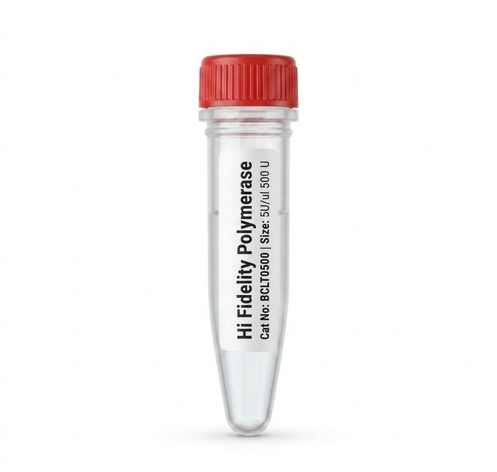 BCLT0500 Hi-Fidelity Polymerase 500U