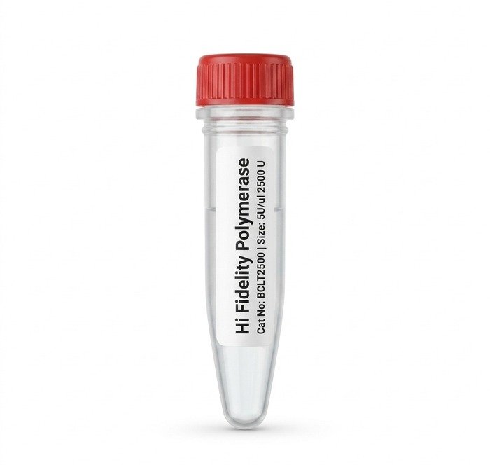 BCLT2500 Hi-Fidelity Polymerase 2500U High Accuracy Enzyme