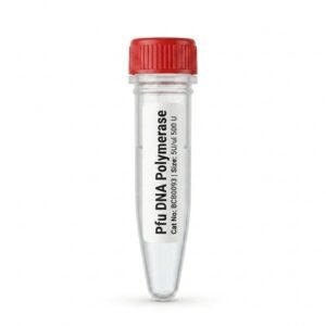 Pfu DNA Polymerase 500 U - BCB0093 High Fidelity Enzyme