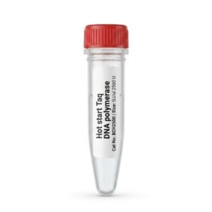 BCH2500 Hot Start Taq DNA Polymerase 2500U 5U/ul