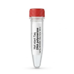 BCH0500 Hot Start Taq DNA Polymerase 500U