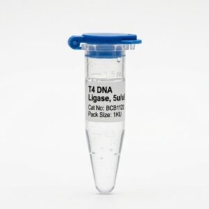T4 DNA Ligase 5u/ul BCB1122 High-Efficiency Enzyme