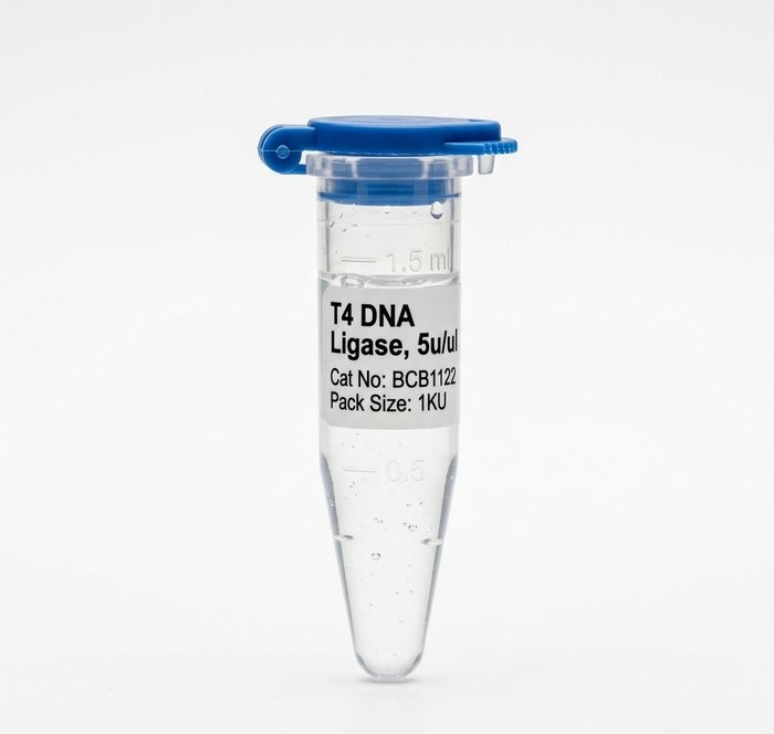 T4 DNA Ligase 5u/ul BCB1122 High-Efficiency Enzyme