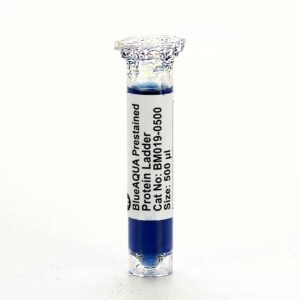 BlueAQUA Prestained Protein Ladder BM019-0500 500 ul