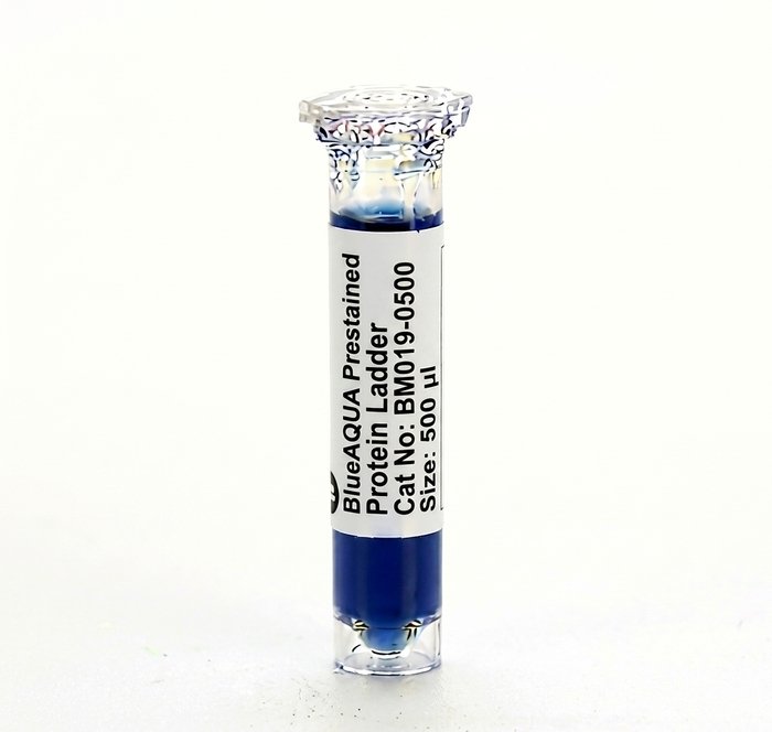 BlueAQUA Prestained Protein Ladder BM019-0500 500 ul