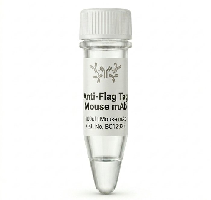 Anti-Flag Tag Mouse Monoclonal Antibody 100ul BC12938