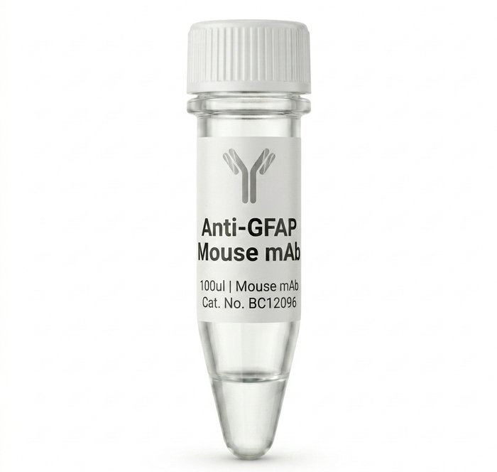 BC12096 Anti-GFAP Mouse Monoclonal Antibody 100ul