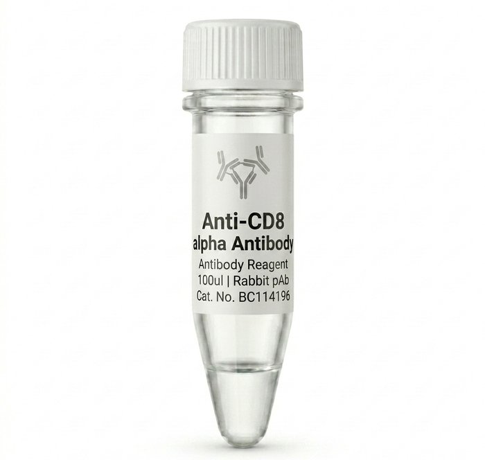 Anti-CD8 alpha Rabbit pAb 100ul