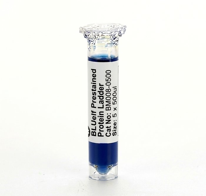 BLUelf Prestained Protein Ladder BM008-0500 5x500ul