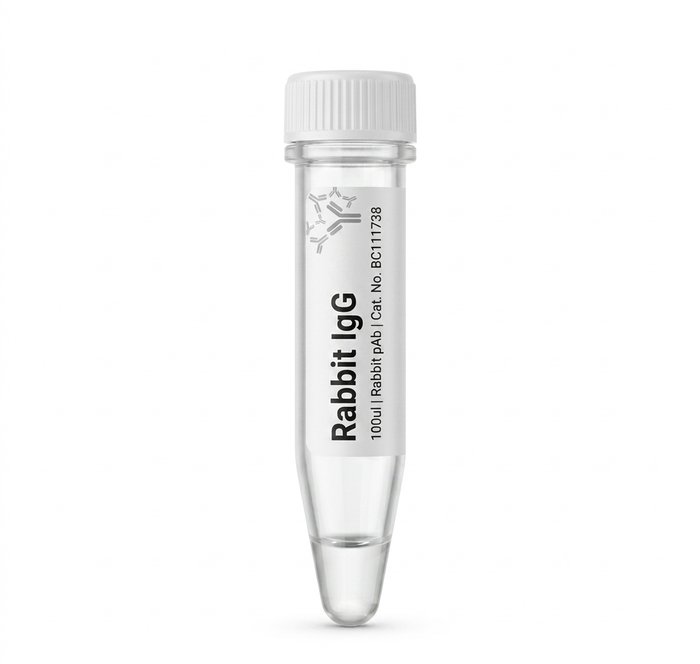 Rabbit IgG Purified Protein 100ul BC111738