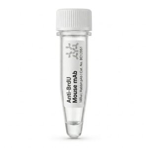 Anti-BrdU Mouse Monoclonal Antibody 100ul