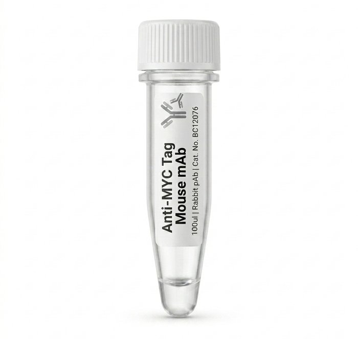 Anti-MYC Tag Mouse Monoclonal Antibody BC12076