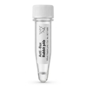 Anti-Bax Rabbit Polyclonal Antibody 100ul BC11690