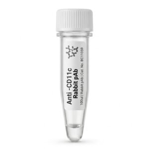 Anti-CD11c Rabbit Polyclonal Antibody 100ul