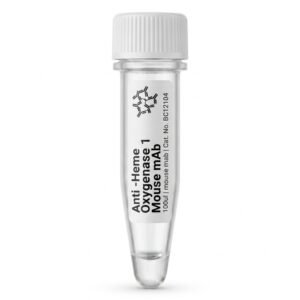 Anti-Heme Oxygenase 1 Mouse mAb 100ul
