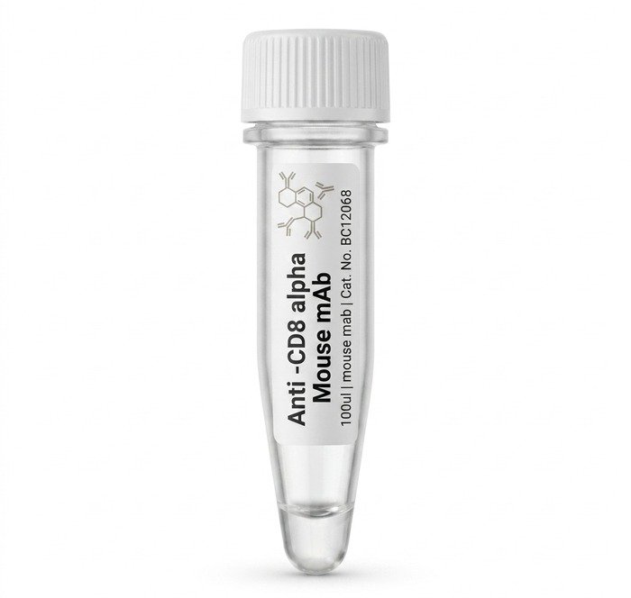 Anti-CD8 alpha Mouse mAb, 100ul