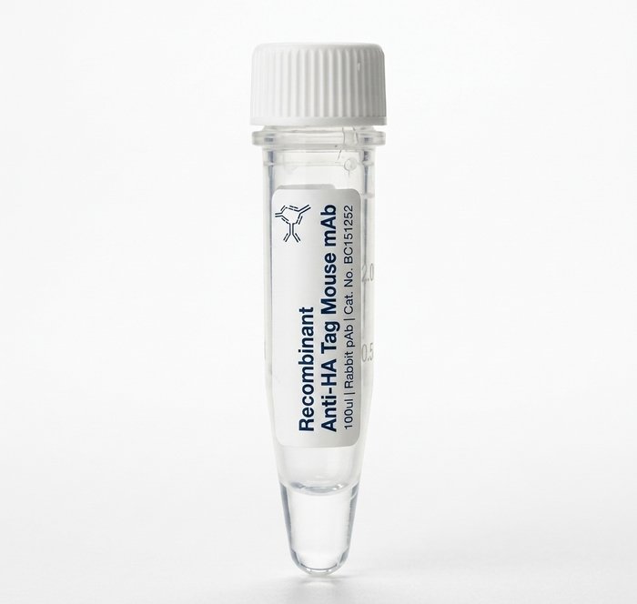 Recombinant Anti-HA Tag Mouse mAb BC151252 100ul