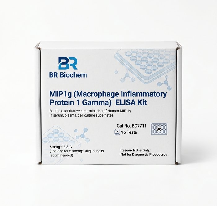 MIP1g Macrophage Inflammatory Protein 1 Gamma ELISA Kit