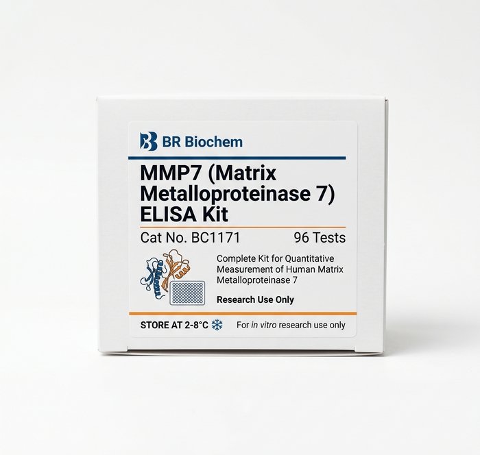MMP7 ELISA Kit - High Sensitivity Assay (96 Tests)