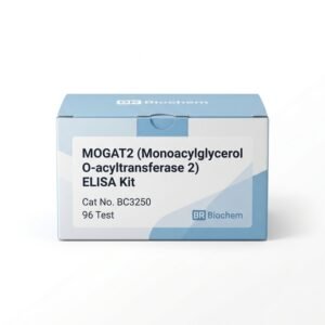MOGAT2 ELISA Kit BC3250 - High Sensitivity Assay