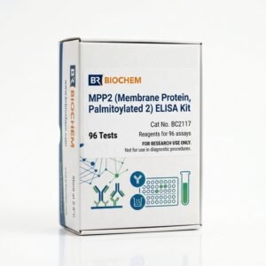 Rat MPP2 ELISA Kit 96 Test BC2117