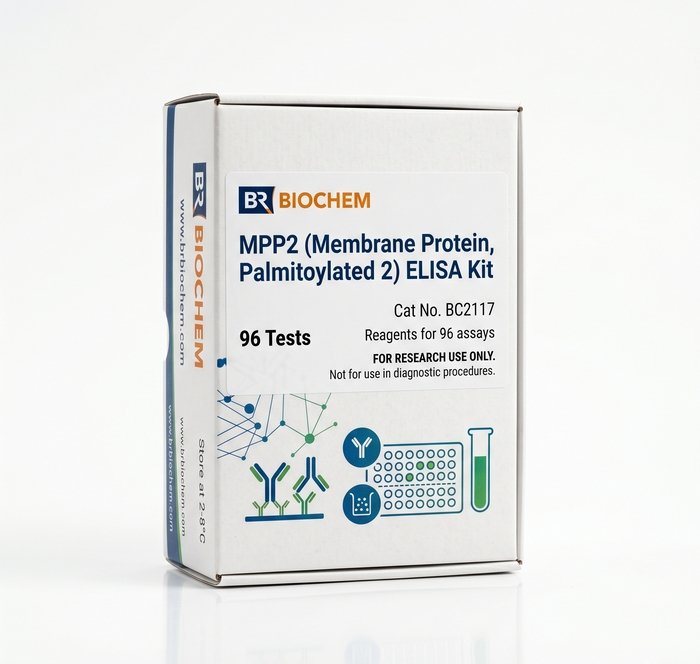 Rat MPP2 ELISA Kit 96 Test BC2117