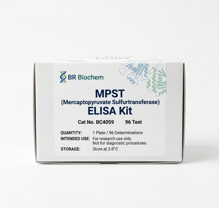 MPST ELISA Kit BC4059 Human Mouse 96 Test