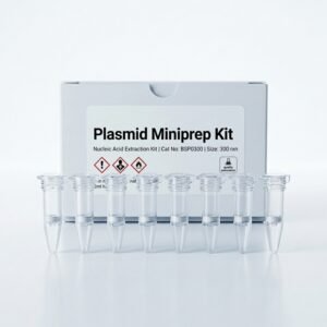 BSP0300 Plasmid Miniprep Kit High Yield DNA Extraction