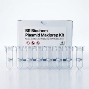 BXP010 Plasmid Maxiprep Kit High Yield DNA Purification