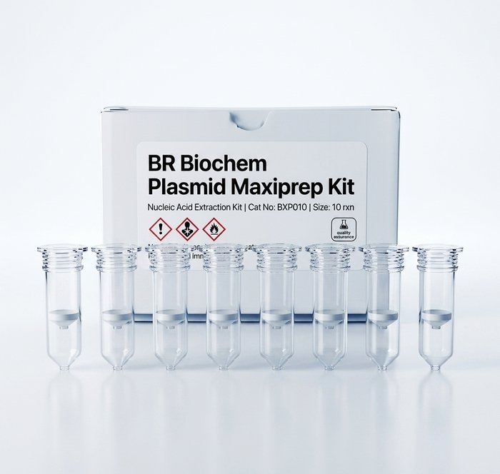 BXP010 Plasmid Maxiprep Kit High Yield DNA Purification