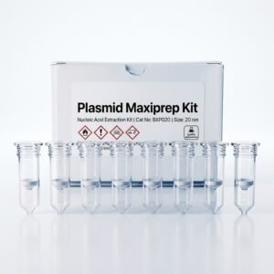 BXP020 Plasmid M Molecular Biology Research Reagent