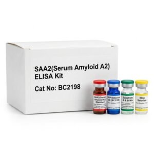 SAA2 ELISA Kit BC2198 - Human and Mouse Serum Amyloid A2