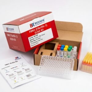 FBN1 Fibrillin 1 ELISA Kit - 96 Test Human Rat Mouse