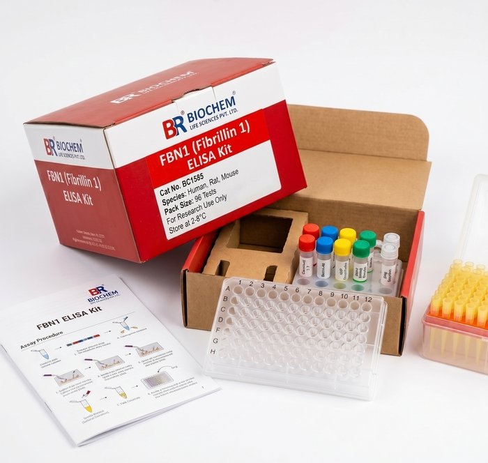 FBN1 Fibrillin 1 ELISA Kit - 96 Test Human Rat Mouse