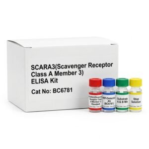 Mouse SCARA3 ELISA Kit BC6781 96 Tests